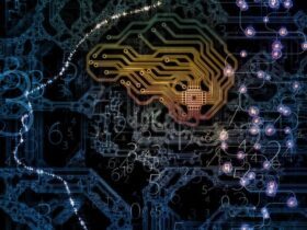 data management tools