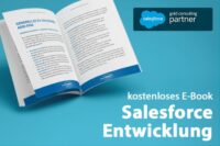 e-book salesforce entwicklung