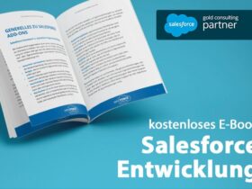 e-book salesforce entwicklung