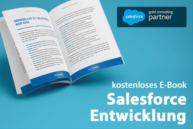 E-Book Salesforce Entwicklung [PDF Download]