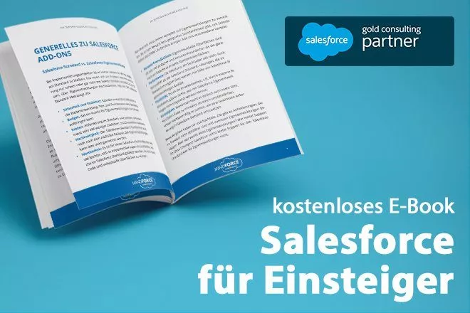 salesforce für Einsteiger