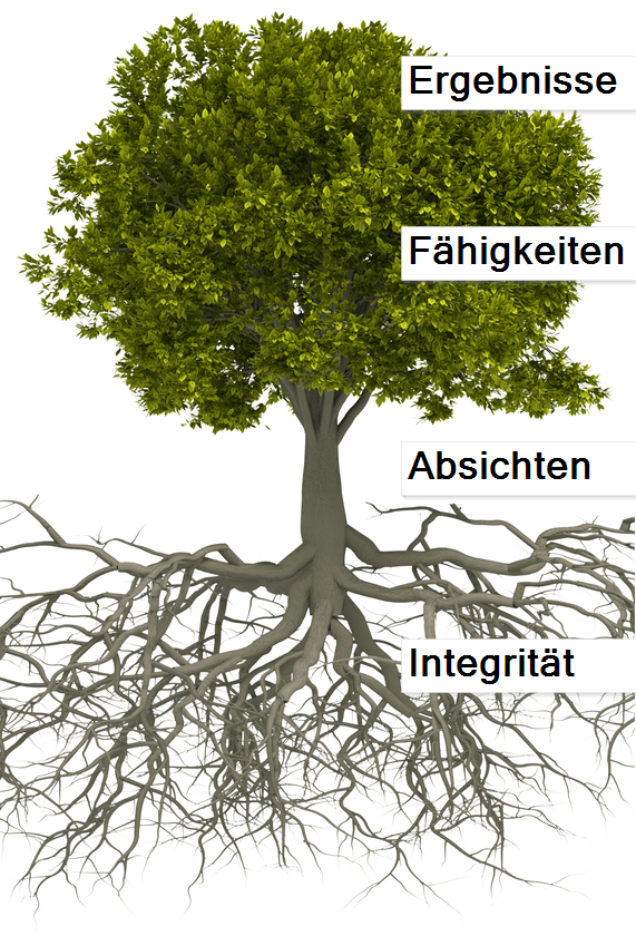 Grundlagen der Glaubwürdigkeit - Digitale Transformation