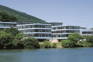 Beitragsbild | Gelita