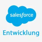 Salesforce Entwicklung mit Apex