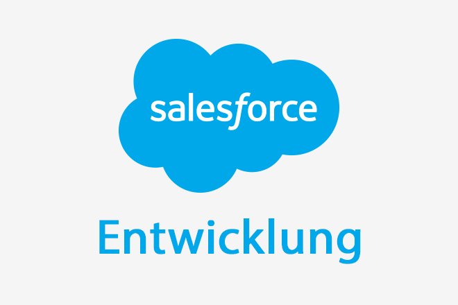 Salesforce Entwicklung mit Apex