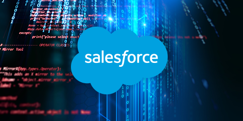 Salesforce Entwicklung