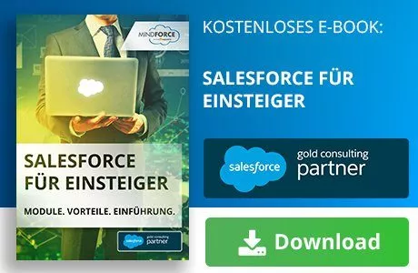 Salesforce für Einsteiger