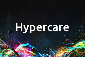 Salesforce Hypercare
