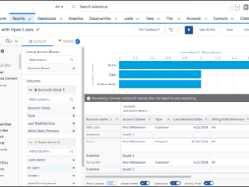Detailansicht des Lightning Report Builder