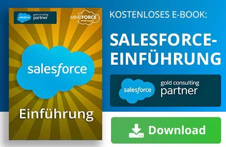 Unser E-Book zum Thema Salesforce-Einführung