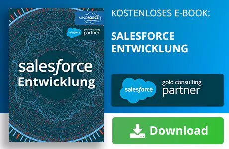 Unser E-Book zum Thema Salesforce Entwicklung