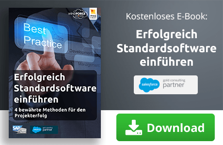 E-Book zum Thema erfolgreich Standardsoftware einführen