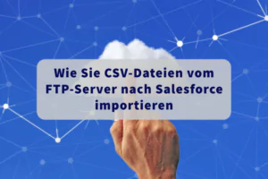 SAP-Salesforce-Integration | Integrationsarten