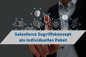 Salesforce Zugriffskonzept