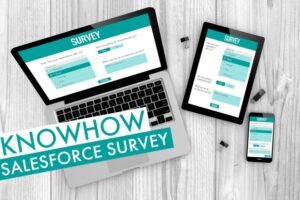 Salesforce Survey | Beitragsbild