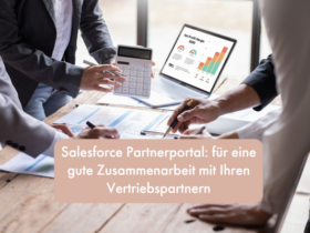 Salesforce Partnerprtal | Beitragsbild