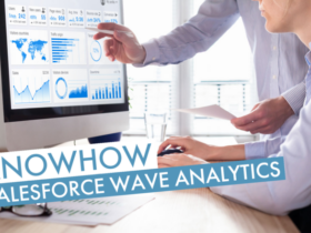 Salesforce Wave Analytics | Beitragsbild