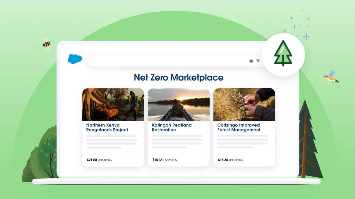 Net Zero | Marketplace