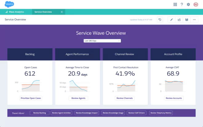 Salesforce Wave Analytics | Screenshot