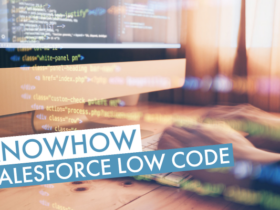 Salesforce Low Code | Beitragsbild