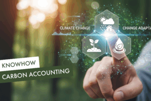 Carbon Accounting | Beitragsbild