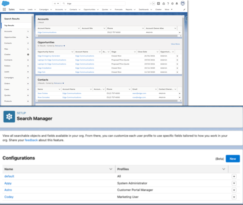 Salesforce Konfigurierbares Suchfeld