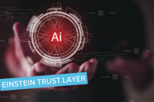 Einstein Trust Layer Beitragsbild
