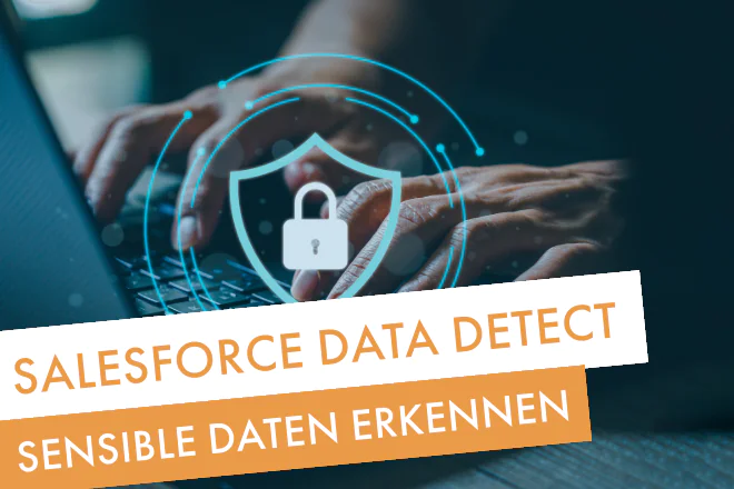 Salesforce Data Detect | Beitragsbild