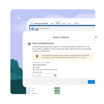 Salesforce Backup Tools | Salesforce Screenshot