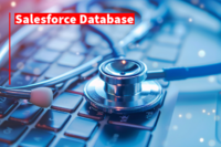 Salesforce Database | Beitragsbild