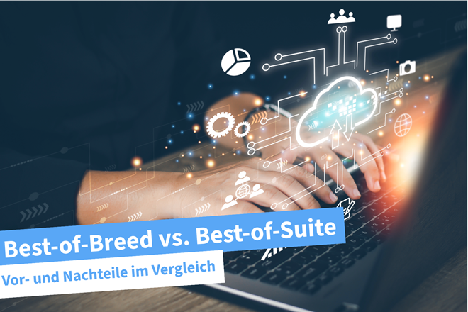 Beitragsbild | Best of Breed vs Best of Suite
