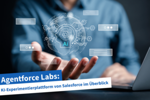 Beitragsbild | Agentforce Labs