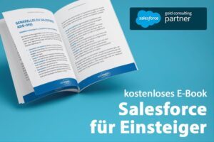 salesforce für Einsteiger
