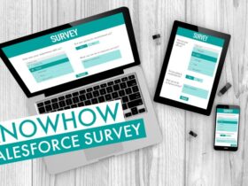 Salesforce Survey | Beitragsbild