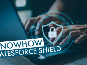 Salesforce Shield | Beitragsbild