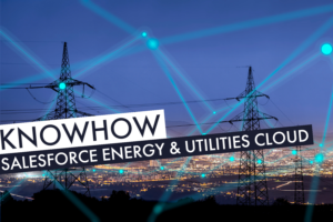 Salesforce Energy & Utilities Cloud | Beitragsbild