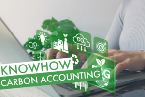 Carbon Accounting | Beitragsbild