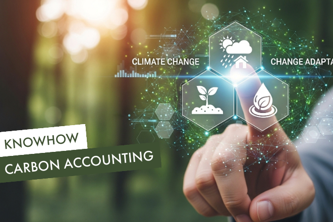Carbon Accounting | Beitragsbild